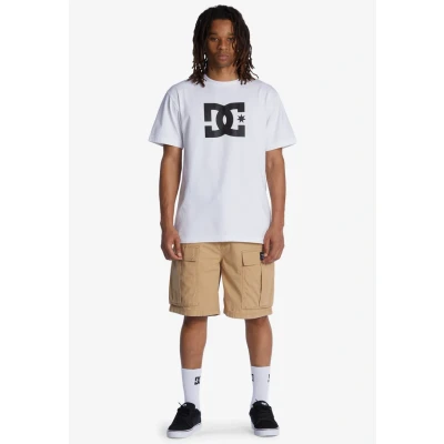 Afbeelding van DC Shoes Tundra Shorts, Heren, Maat: Small, Incense