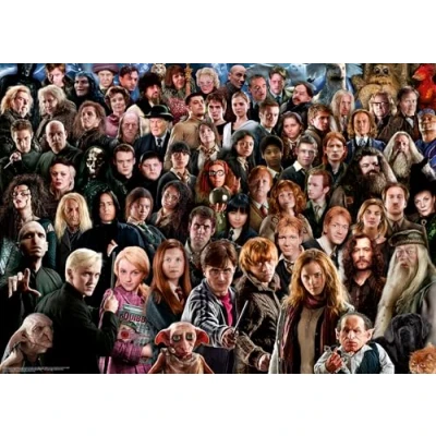 Image de Puzzle 1000 pièces : Harry Potter
