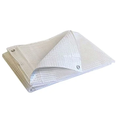 Afbeelding van TECPLAST TR170MU Afdekzeil, 2 x 3 m, legerzeil, transparant, hoogwaardig, waterdicht, UV bestendig
