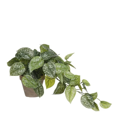 Afbeelding van Scindapsus Kunstplant in Bloempot Stan H44 x Ø17 cm Groen