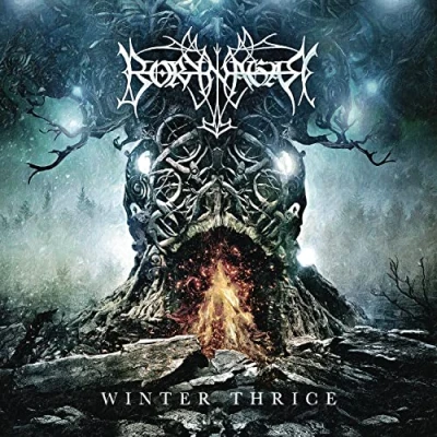 Afbeelding van Winter Thrice