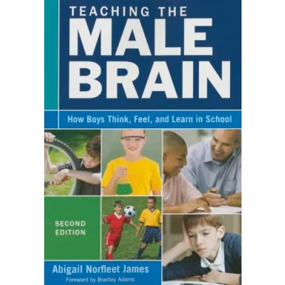 Afbeelding van Teaching Male Brain
