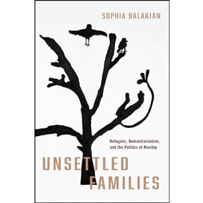 Afbeelding van Stanford Studies in Human Rights Unsettled Families
