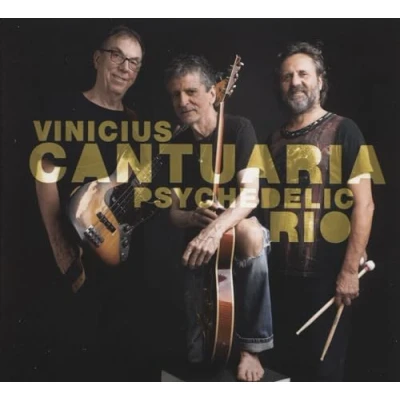 Afbeelding van Vinicius Cantuaria Psychedelic Rio (CD)