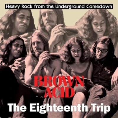 Afbeelding van V/A Brown Acid: The 18th Trip (LP)