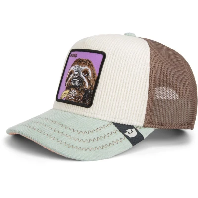 Afbeelding van Goorin Bros Pet, Heren, Maat: One Size, Multicolor