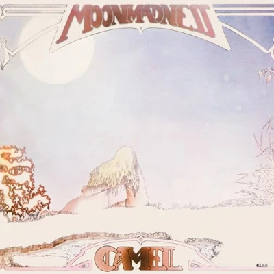 Afbeelding van Moonmadness