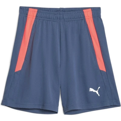 Afbeelding van Puma Heren Short Teamliga 053 Fire Orchid