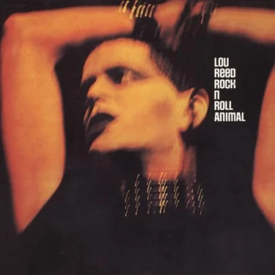 Afbeelding van Rock &#039;n Roll Animal