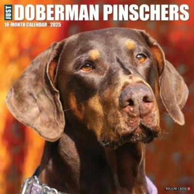 Afbeelding van Just Dobermans 2025 12 X Wall Calendar