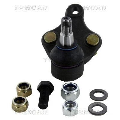 Afbeelding van Triscan Fuseekogel 8500 13575