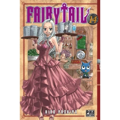 Afbeelding van FAIRY TAIL Tome 14