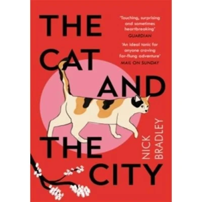 Image de the Cat and City