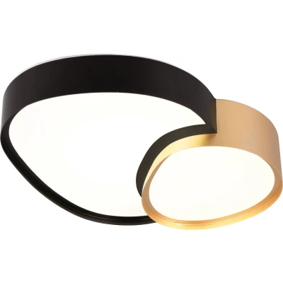 Afbeelding van TRIO RISE Plafondlamp Zwart goud incl. 1x SMD 21W Geintergreerde dimmer Memory functie Lichtkleur instelbaar