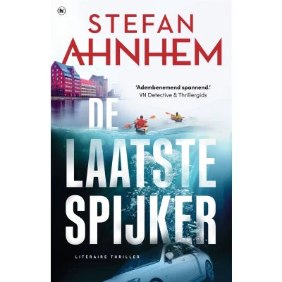 Afbeelding van Fabian Risk 6 De laatste spijker