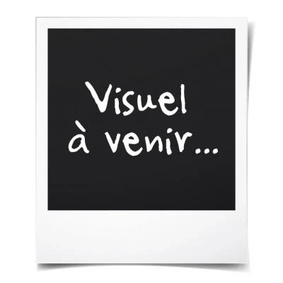 Image de ESSELTE Classeur a Levier N01 50 mm Blanc