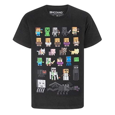 Afbeelding van Minecraft Sprites T shirt voor jongens, wit, zwart.