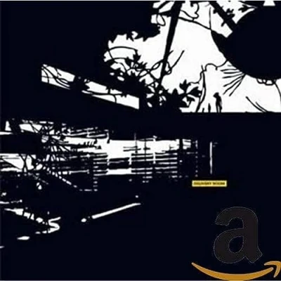 Afbeelding van Various Artists Delivery Room (CD)