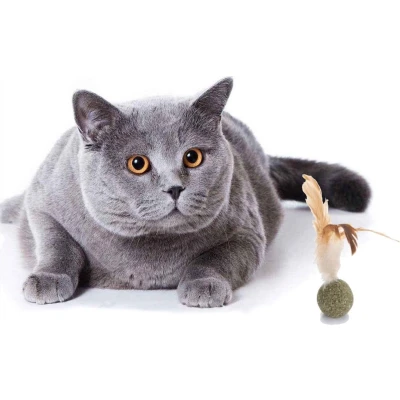 Afbeelding van Go Gadget Kattenkruid Balletje Met Veer Kattenspeelgoed Perfect Speelgoed Voor Katten