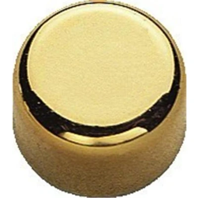Image de Aimants Exacompta Magnétiques F9 Boîte de 8 Diam. 9mm Or