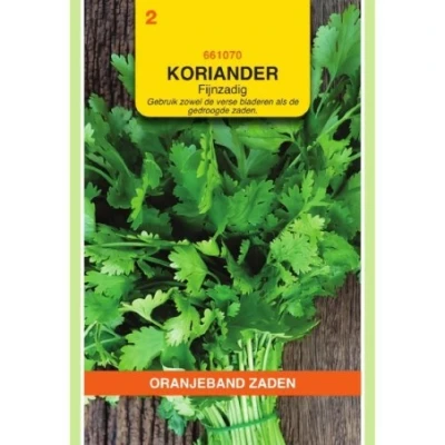 Afbeelding van Koriander