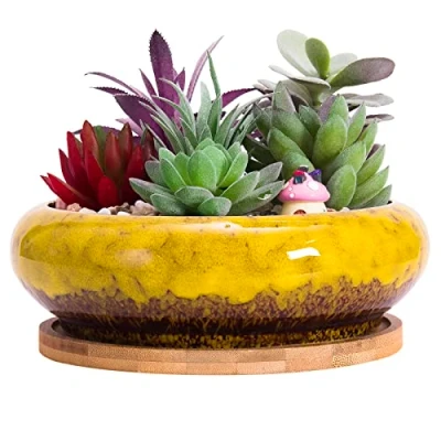 Image de ARTKETTY pot de fleurs succulentes, grand à bonsaï 18,5 cm avec plateau en céramique trou drainage, pots peu profonds pour plantes d&#039;intérieur/extérieur, bol
