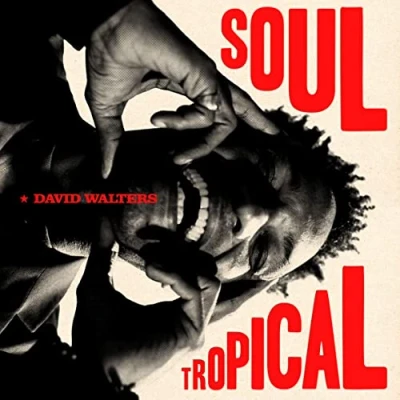 Afbeelding van David Walters Soul Tropical (Single)