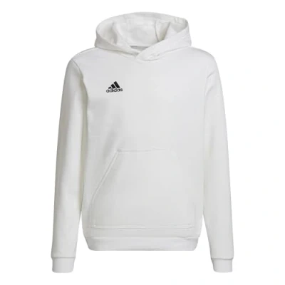 Image de adidas Mixte enfant Sweat à capuche Entrada 22 Hoodie, white/black, 9 10 ans