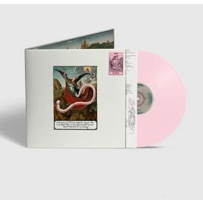 Afbeelding van Hmltd Worm (LP)