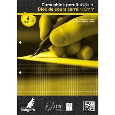 Afbeelding van Kangaro cursusblok A4 ruit 4x8mm 90 grams 2 gaats K 5402