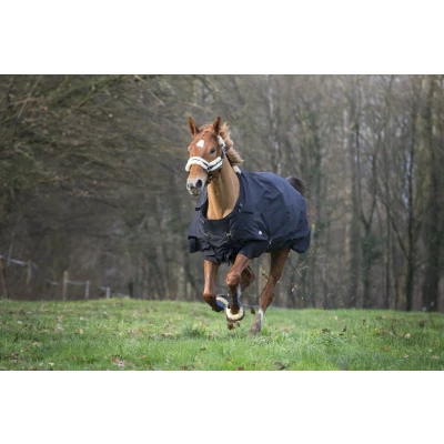 Image de EQUI THÈME Tyrex 600D Technique 300g rug