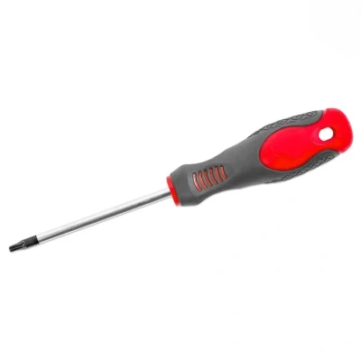 Afbeelding van Wovar Torx Schroevendraaier TX20 x 100 mm Per Stuk