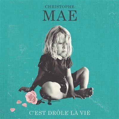 Image de C&#039;est drôle la vie Édition Limitée