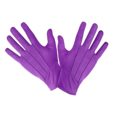 Image de Gants Polyester Adulte 22cm