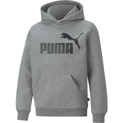 Afbeelding van Puma BIG LOGO Hoodie Unisex voor kinderen, Maat: 110, Medium gray heather
