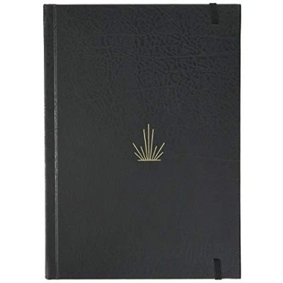 Afbeelding van V2 Mumford &amp; Sons Delta Diaries (ltd Tour Ep) Cd + Boek