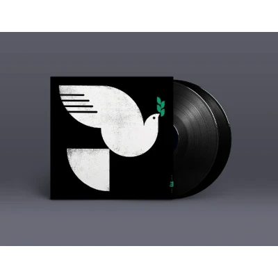 Afbeelding van John Patitucci Spirit Fall (2 LPs)