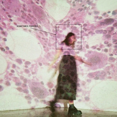 Afbeelding van Soccer Mommy Sometimes, Forever (CD)