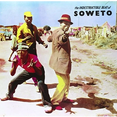 Afbeelding van Indestructable Beat of Soweto