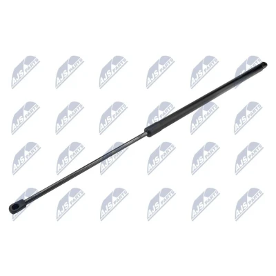Afbeelding van NTY AE FT 041 Gasveer achterklep 720N 796mm Achter