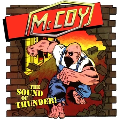 Afbeelding van The Sound of Thunder!