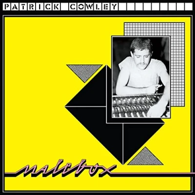 Afbeelding van Patrick Cowley Malebox (LP)