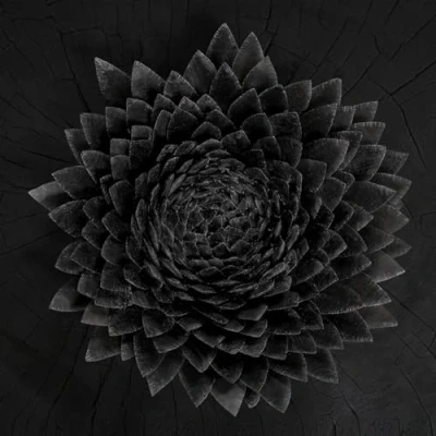 Afbeelding van Jonsi Obsidian (2 LPs)