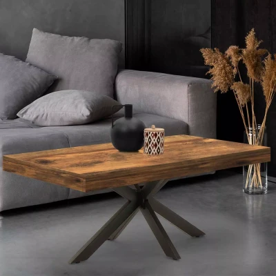 Afbeelding van ALIX 110 cm salontafel met spinnenpoten van donker hout, verouderd en zwart effect