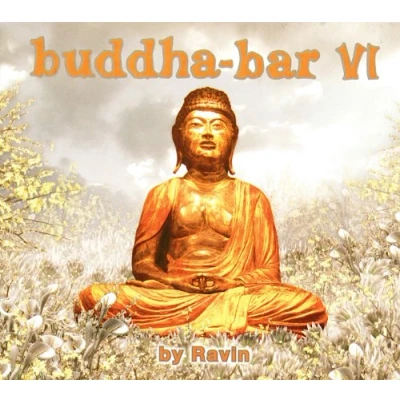 Afbeelding van Buddha Bar 6