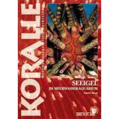 Afbeelding van Seeigel im Meerwasseraquarium