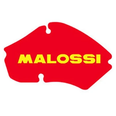 Afbeelding van Luchtfilter element Malossi Piaggio Zip SP, Fast Rider vanaf 1995
