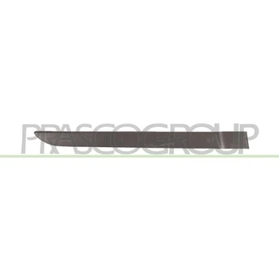Afbeelding van PRASCO RN4201453 Zierleiste RENAULT: MEGANE 2