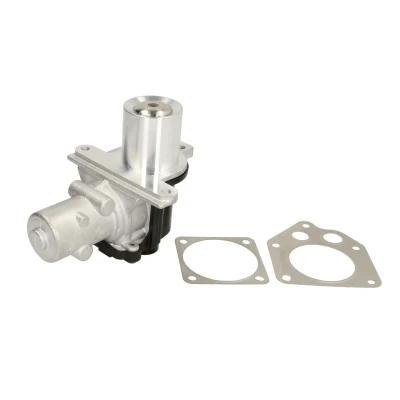 Afbeelding van WAHLER 710928D/1 EGR klep Electrisch Met pakkingen RENAULT: LAGUNA 3, GRAND SCENIC 2, MEGANE 2 Kombi, DACIA: Duster Off Road, Logan I MCV