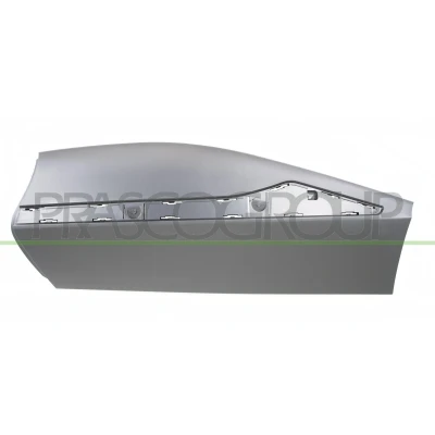 Afbeelding van PRASCO RN7001474 Zierleiste RENAULT: Captur